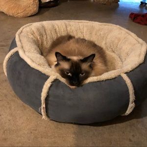 Meet your Posher, Reggie